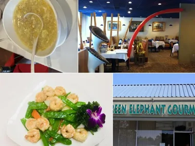 Green Elephant Gourmet, business photo 1