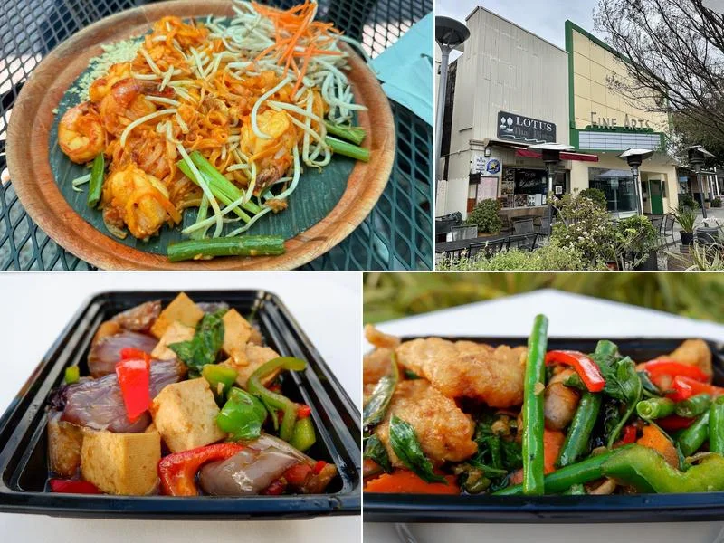Lotus Thai Bistro business photo